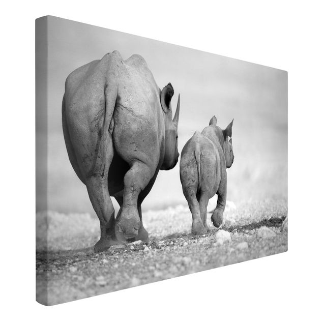 Tavlor modernt Wandering Rhinos II