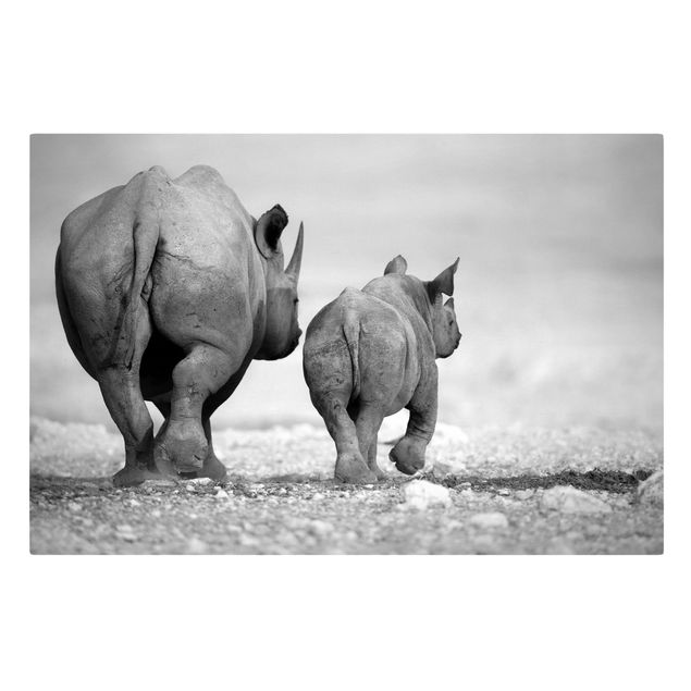Tavlor Wandering Rhinos II