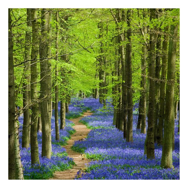 Canvastavlor landskap Trail in Hertfordshire