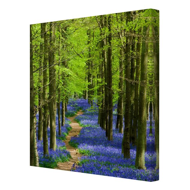 Canvastavlor skogar Trail in Hertfordshire