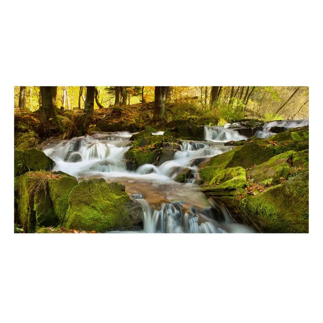 Canvastavlor landskap Waterfall Autumnal Forest