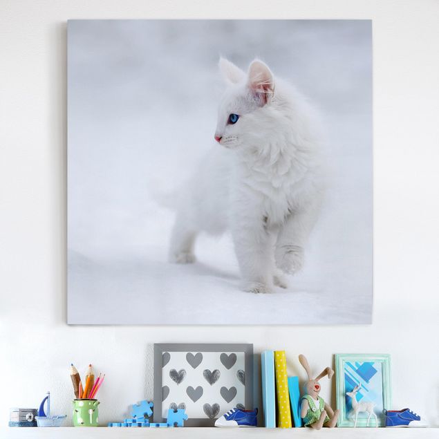 Canvastavlor katter White as Snow