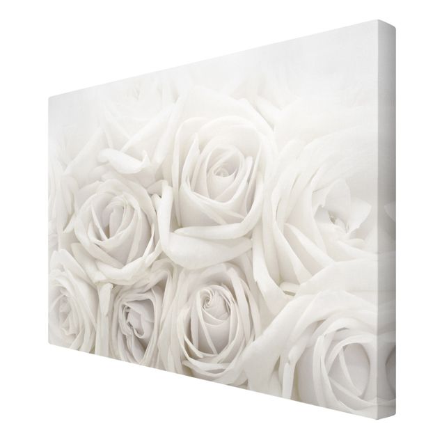 Tavlor White Roses