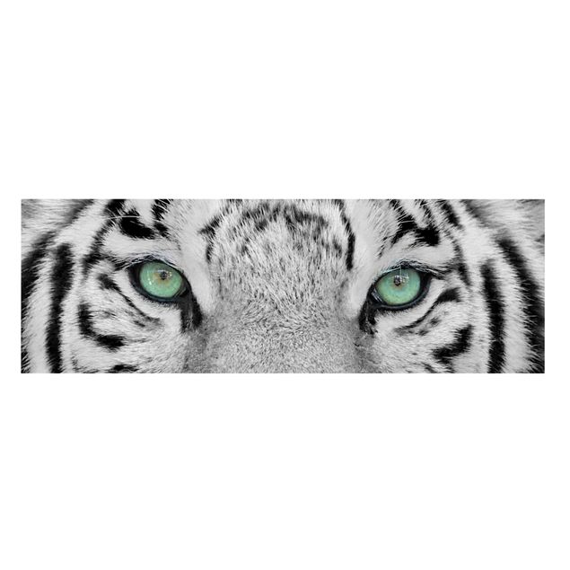 Canvastavlor svart och vitt White Tiger