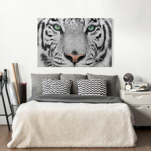 Canvastavlor tigrar White Tiger