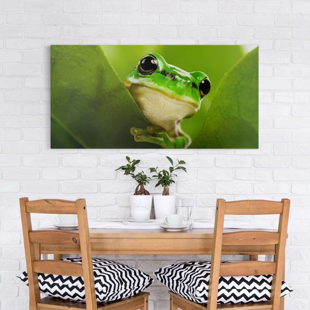 Canvastavlor grodor Frog