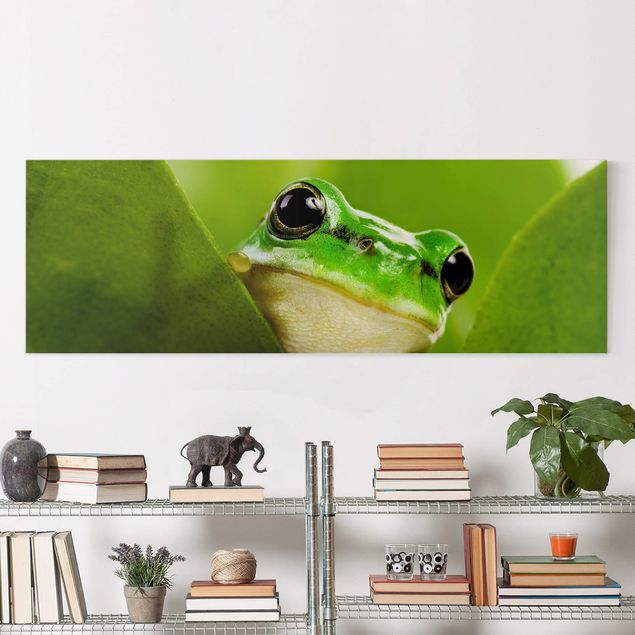 Kök dekoration Frog
