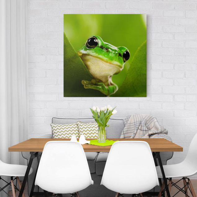 Canvastavlor djur Frog