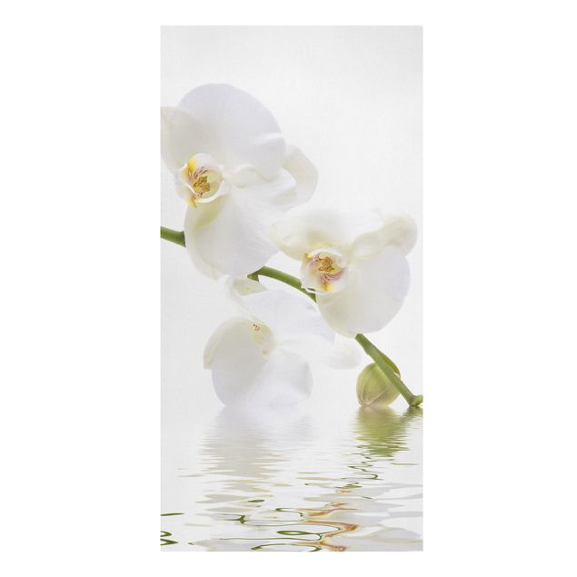 Tavlor blommor White Orchid Waters