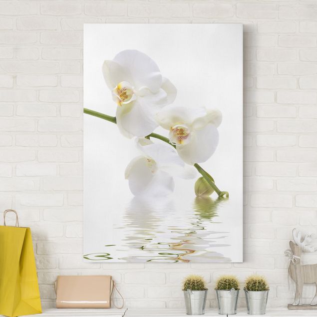 Tavlor orkidéer White Orchid Waters