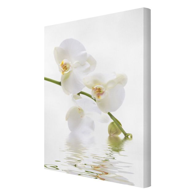 Tavlor blommor  White Orchid Waters