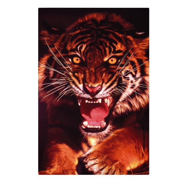 Tavlor tigrar Wild Tiger