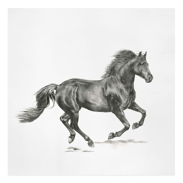 Canvastavlor djur Wild Horse Trial - Stallion