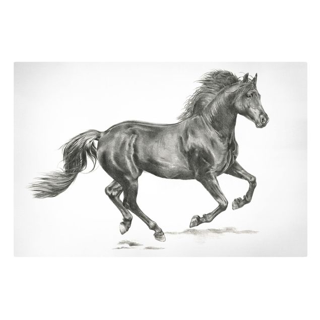 Canvastavlor djur Wild Horse Trial - Stallion