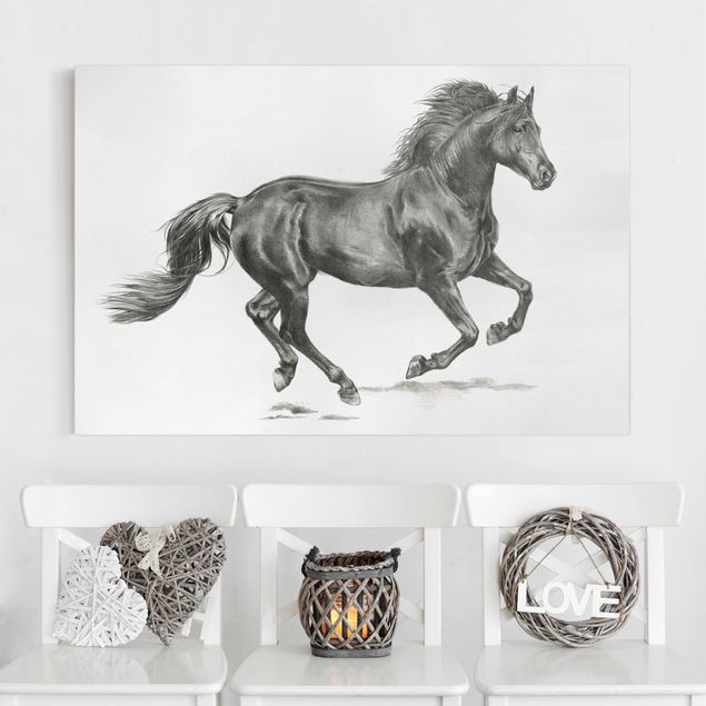 Kök dekoration Wild Horse Trial - Stallion