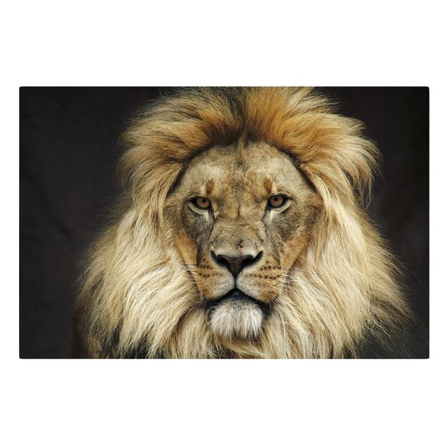 Canvastavlor djur Wisdom Of Lion