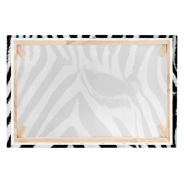 Tavlor Afrika Zebra Crossing