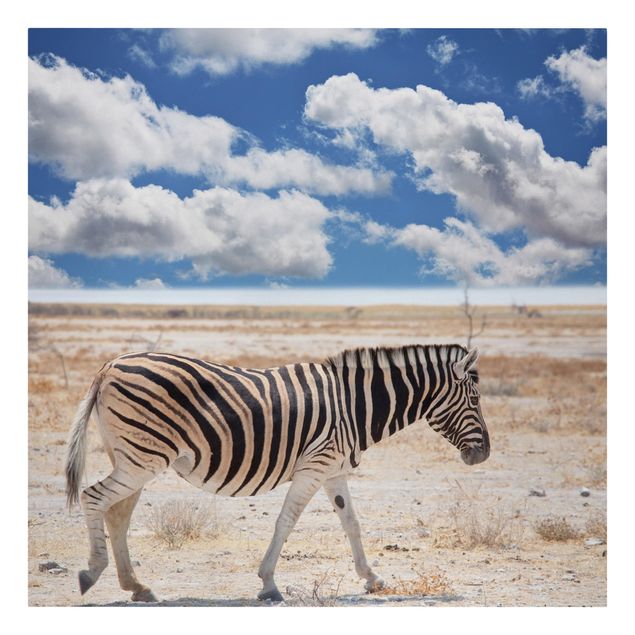 Canvastavlor landskap Zebra In The Savannah