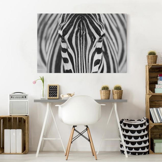 Canvastavlor zebror Zebra Look
