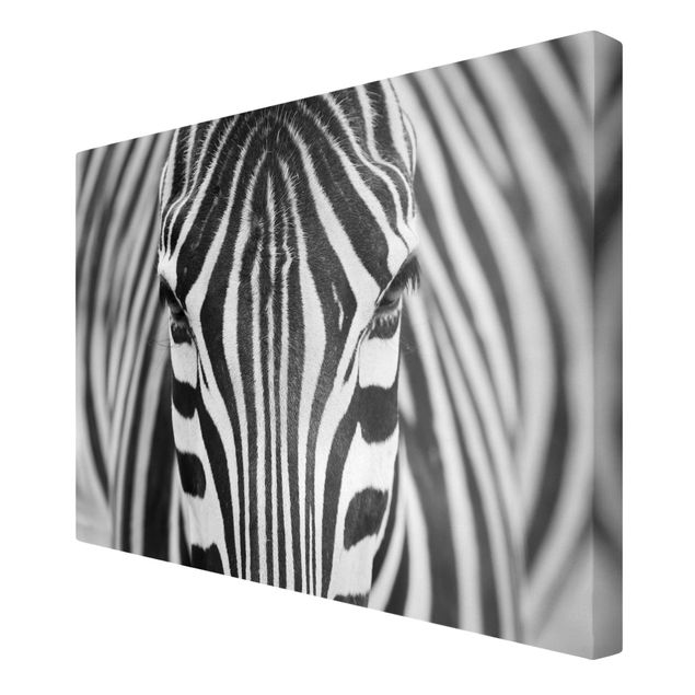 Canvastavlor djur Zebra Look