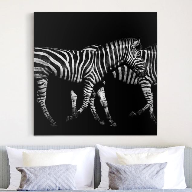 Canvastavlor zebror Zebra In The Dark