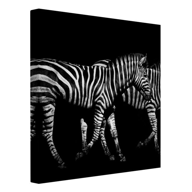 Canvastavlor svart och vitt Zebra In The Dark