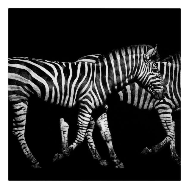 Canvastavlor djur Zebra In The Dark