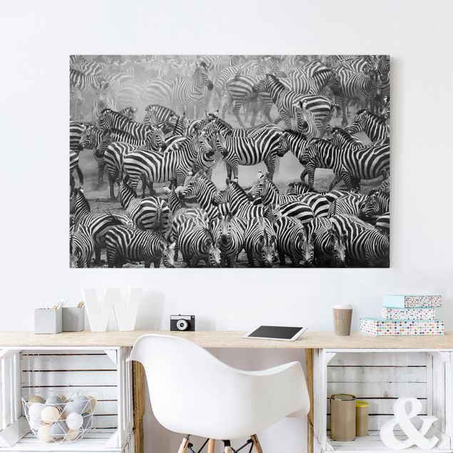 Canvastavlor zebror Zebra herd II