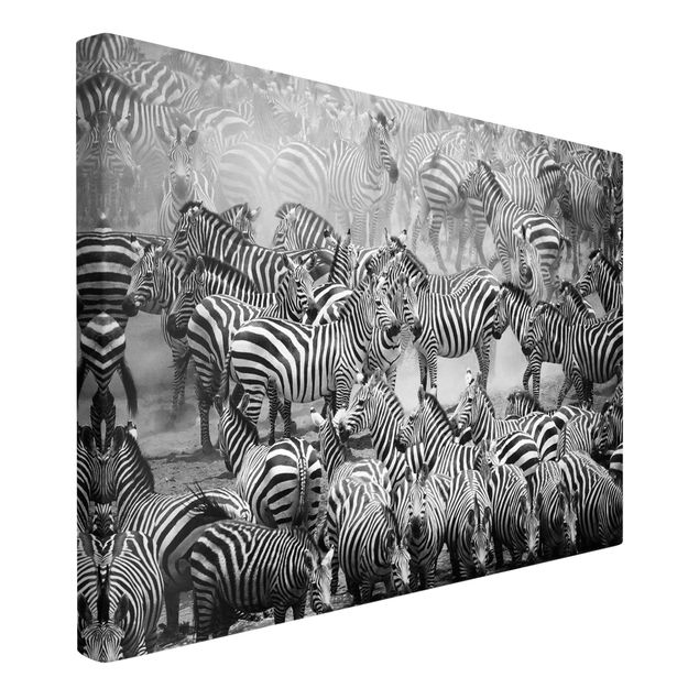 Canvastavlor svart och vitt Zebra herd II