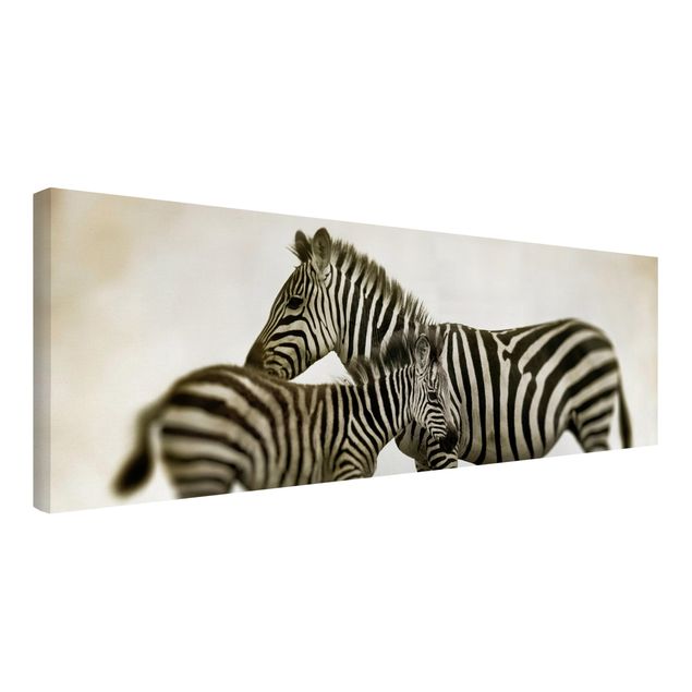 Canvastavlor svart och vitt Zebra Couple