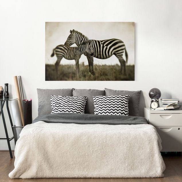 Tavlor zebror Zebra Couple