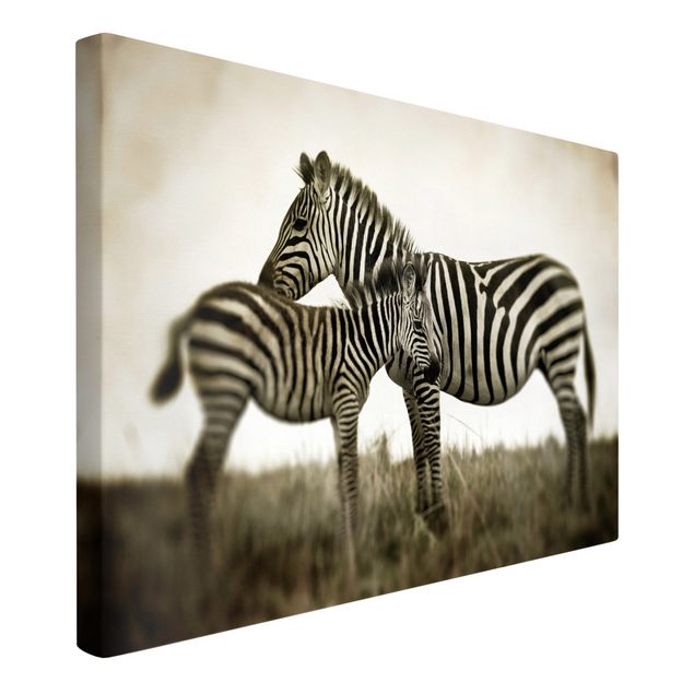 Canvastavlor svart och vitt Zebra Couple
