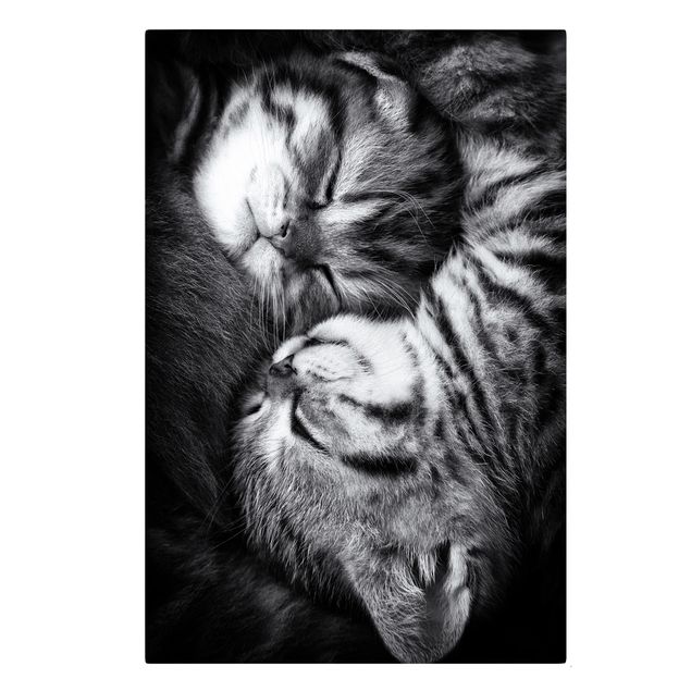 Canvastavlor svart och vitt Two Kittens