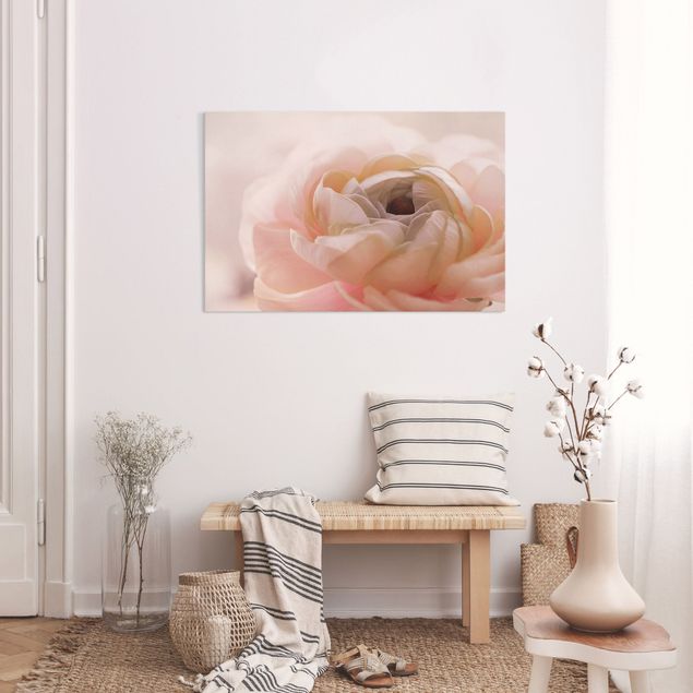 Canvastavlor rosor Focus On Light Pink Flower