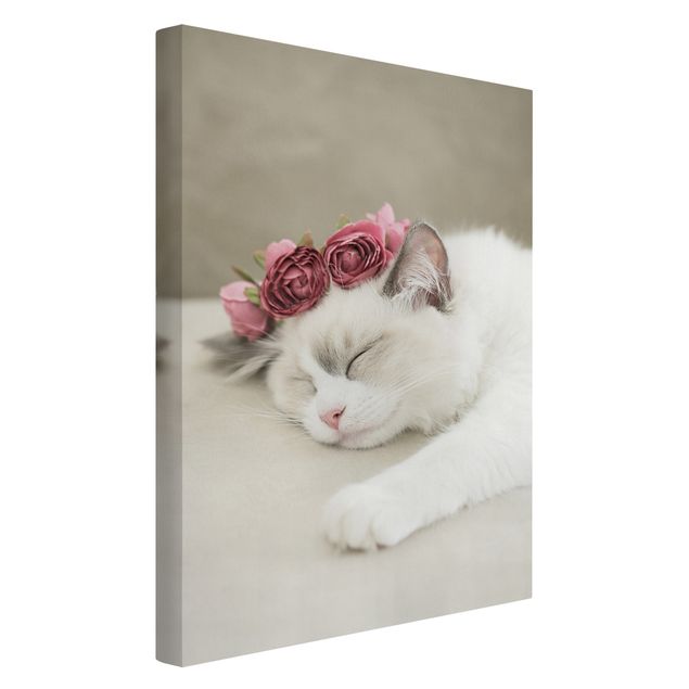 Tavlor katter Sleeping Cat with Roses