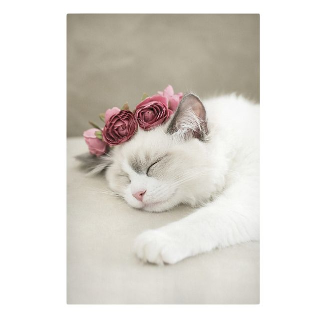 Canvastavlor blommor  Sleeping Cat with Roses