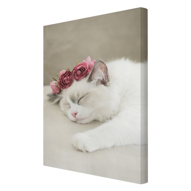 Tavlor blommor Sleeping Cat with Roses