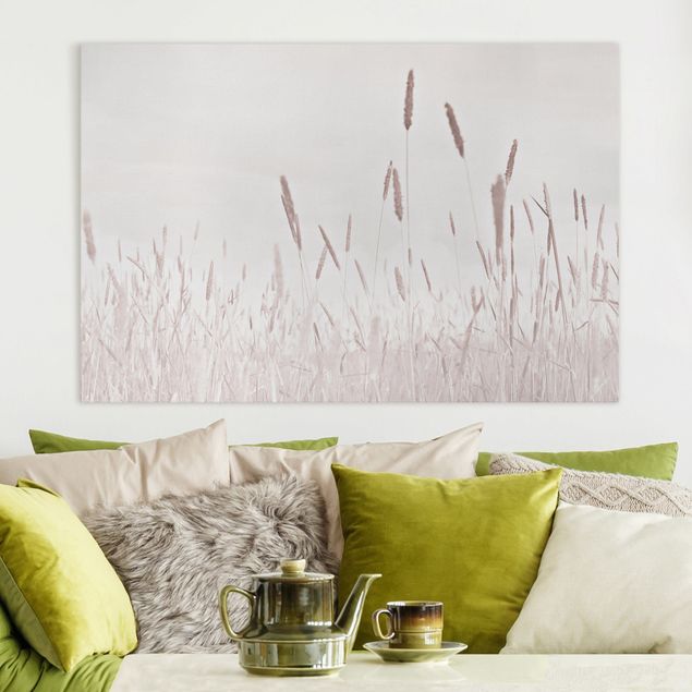 Canvastavlor gräs Summerly Reed Grass