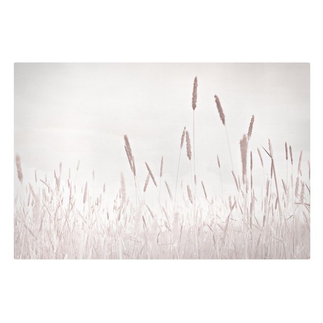 Tavlor blommor  Summerly Reed Grass