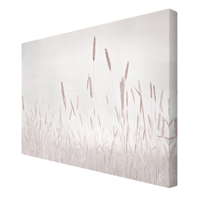 Tavlor Monika Strigel Summerly Reed Grass