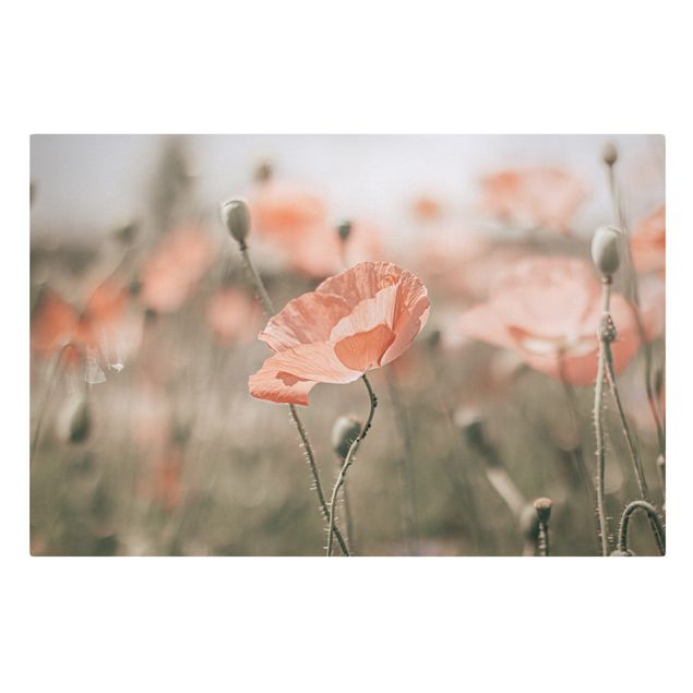 Tavlor blommor Sun-Kissed Poppy Fields