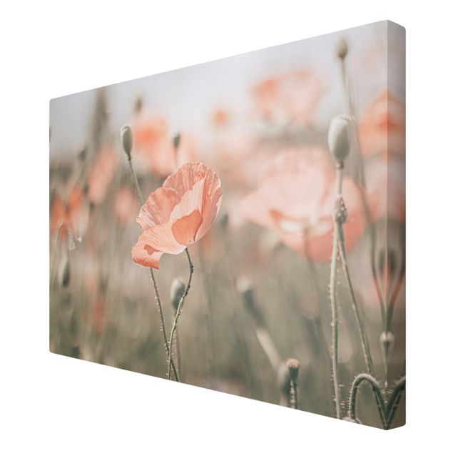Tavlor blommor  Sun-Kissed Poppy Fields