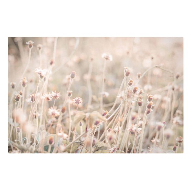 Tavlor blommor  Flowering Meadow In the Sun