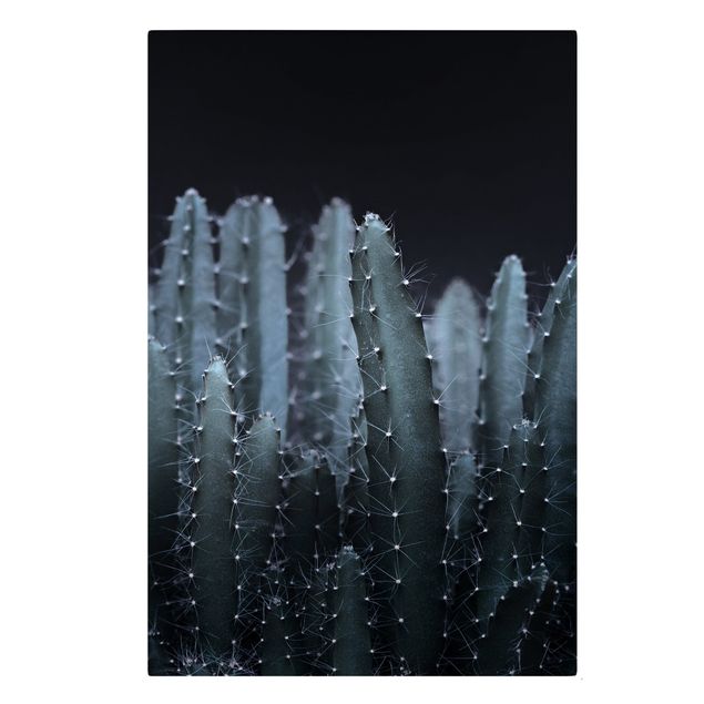 Tavlor modernt Desert Cactus At Night