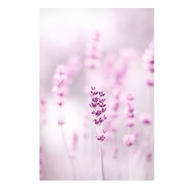 Tavlor blommor  Pale Purple Lavender