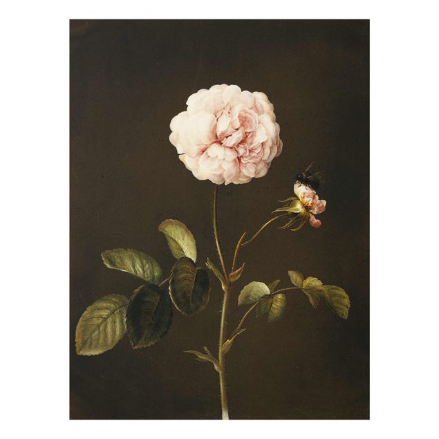 Konststilar Barbara Regina Dietzsch - French Rose With Bumblbee