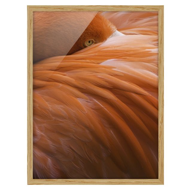 Tavlor modernt Flamingo Feathers