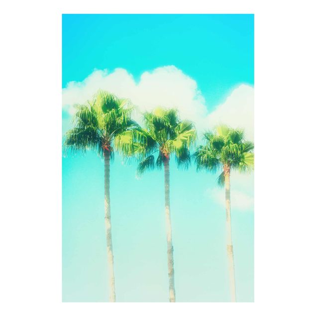 Tavlor blommor  Palm Trees Against Blue Sky