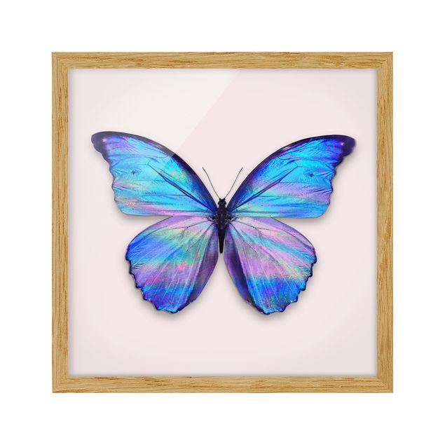 Tavlor fjärilar Holographic Butterfly