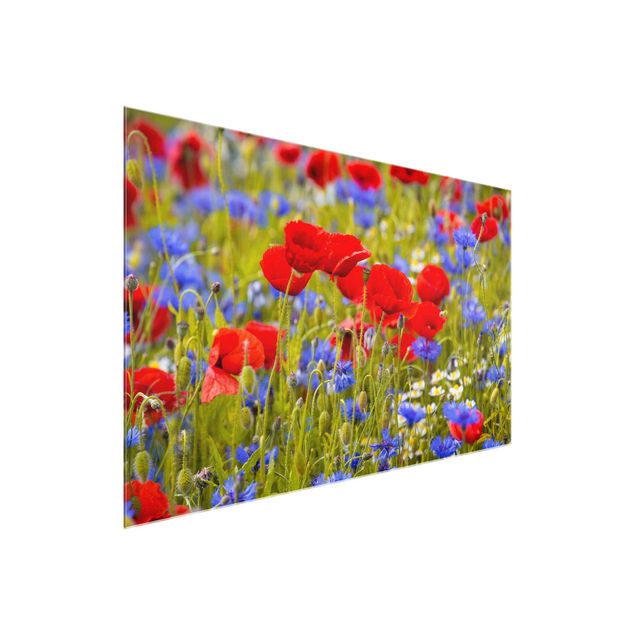Glastavlor blommor  Summer Meadow With Poppies And Cornflowers